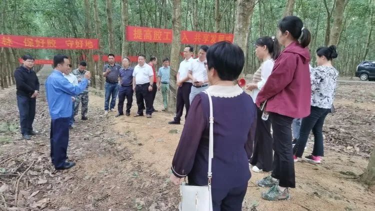 全國割膠冠軍張健給各單位學員做標準化膠園建設(shè)及割膠技術(shù)的經(jīng)驗介紹。.jpg